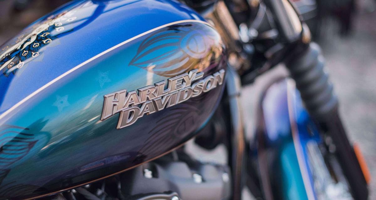 My Work Speaks for Itself Design Contest: Bobbi Bradbury